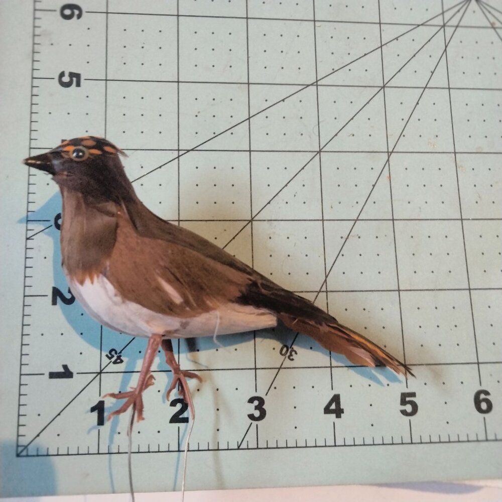 Decorative Tufted Birds Brown Orange Feathers Realistic Craft Display Lot 4 - Picture 13 of 14